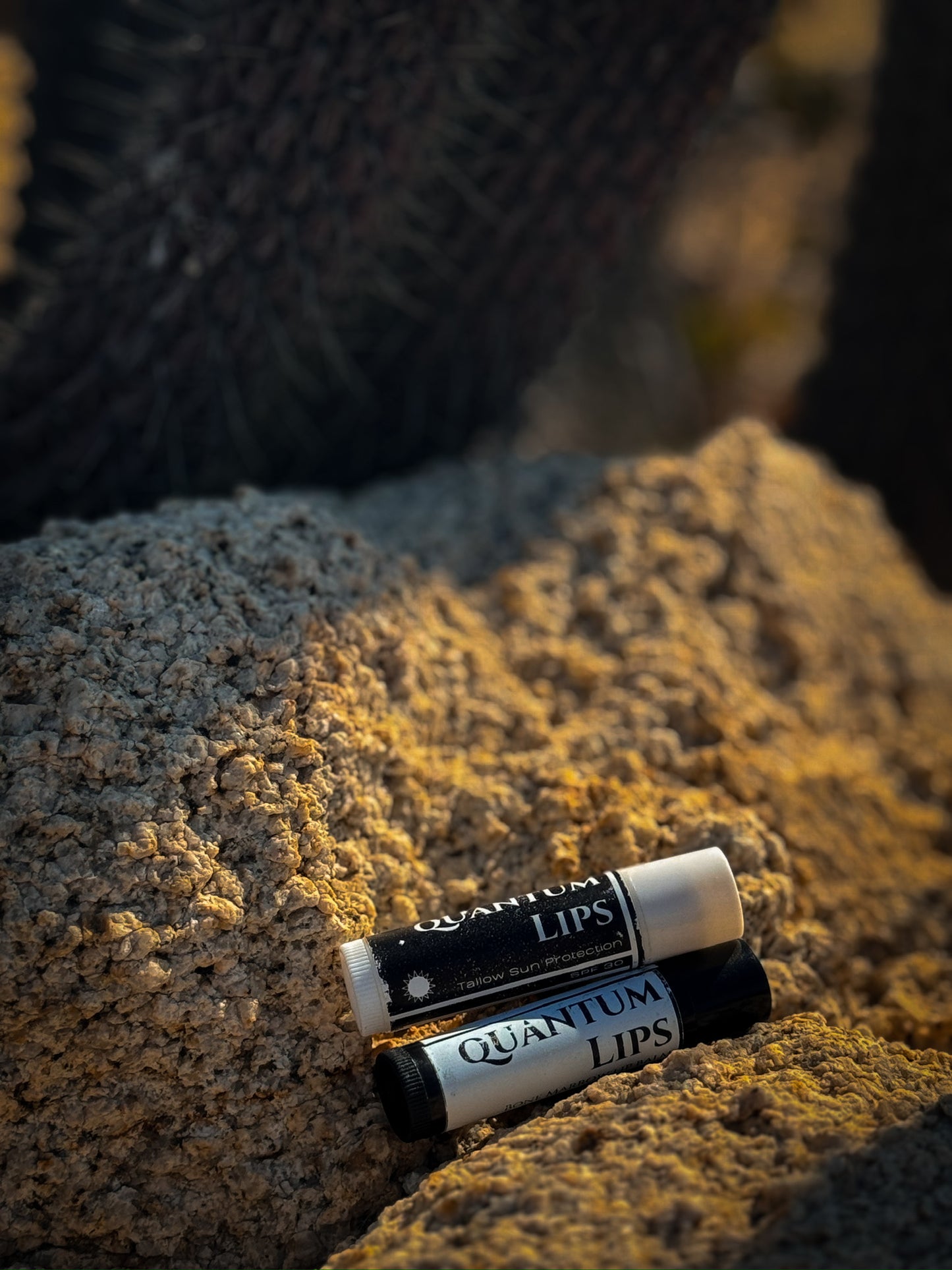 Quantum Lips
