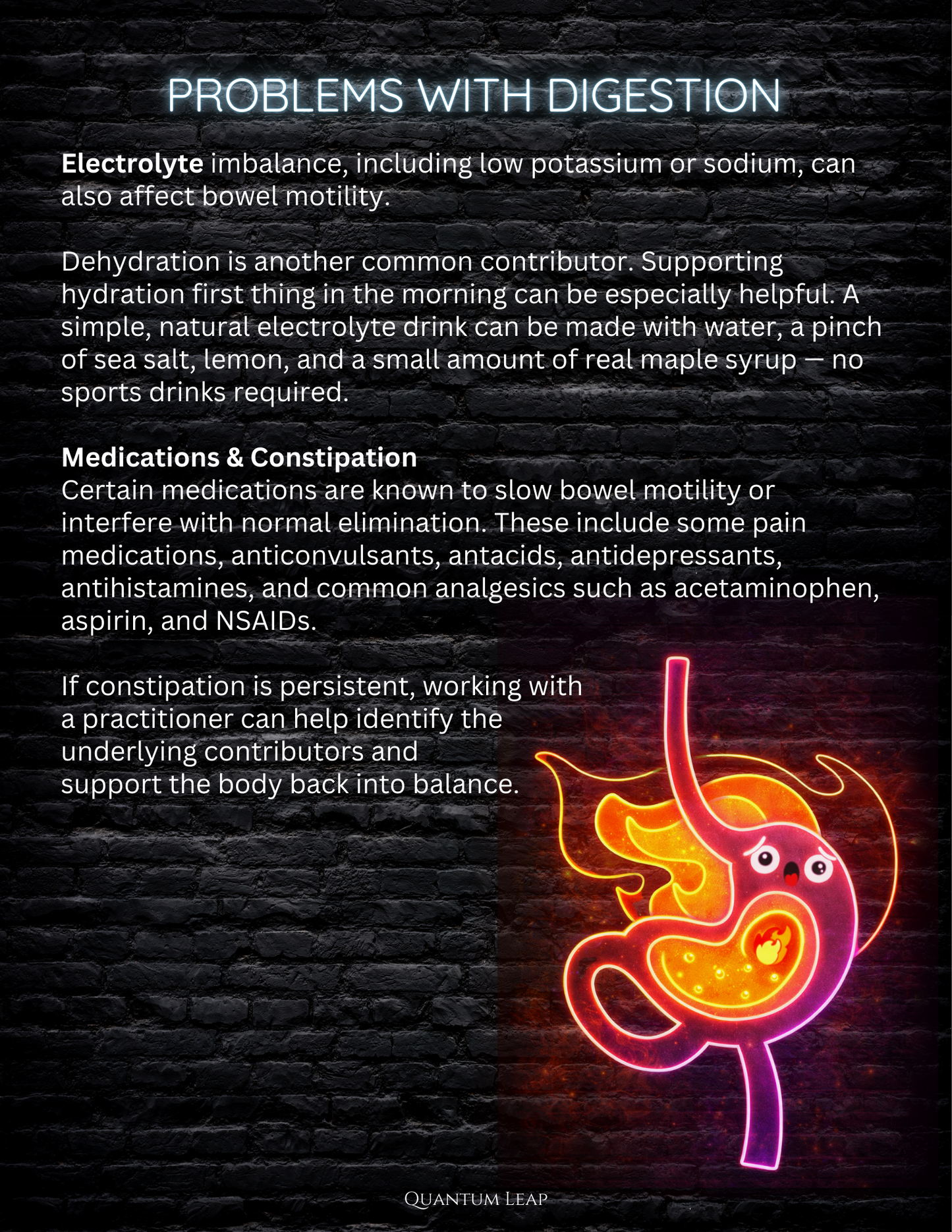 Digestive Resiliency Program