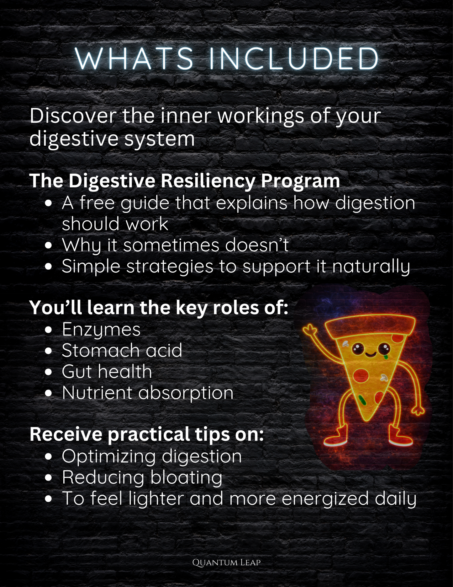Digestive Resiliency Program